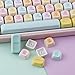 TYRIXKI PBT Keycaps 136 Keys MOA Profile Cat Keycaps Dye-Sublimation Rainbow Gummy Keycap Cute Custom Keycap Set for Cherry Gateron MX Swithes Mechanical Keyboards