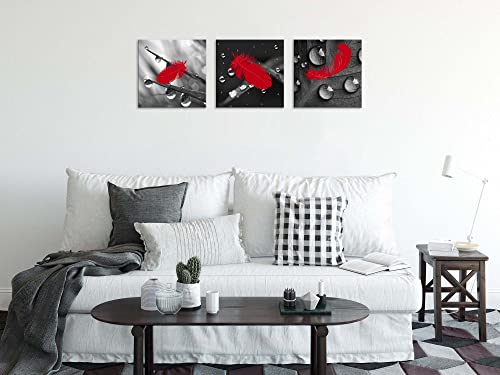 Nan Wind 3 Pcs Red Wall Art Canvas Prints Red Feather Art Paintings Black And White Wall Art Abstract Wall Decor Paintings On Canvas Stretched And Framed Ready To Hang For Home Decor #TOP5