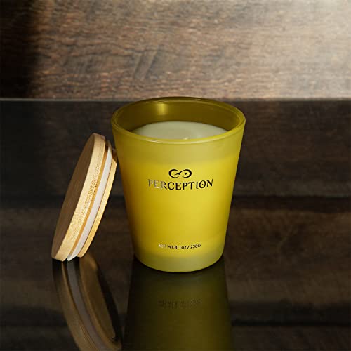 Perception Aromas Luxury Scented Candle | Bamboo Jasmine | Hand Poured Soy Wax Candle With Gift Box | Elegant Fragrances | 50 Hour Burn Time (8.1 Oz) #TOP4