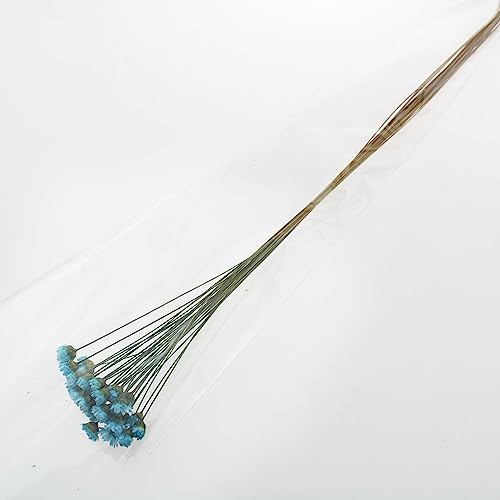 TAODAN 90 tallos Flores secas naturales azul real miniatura 5