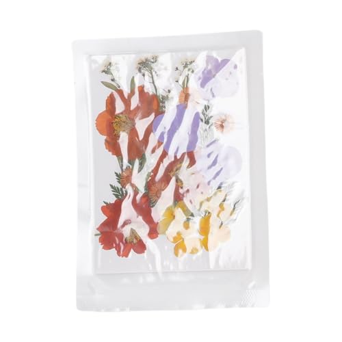 100 flores prensadas secas para manualidades tipo 4 miniatura 2