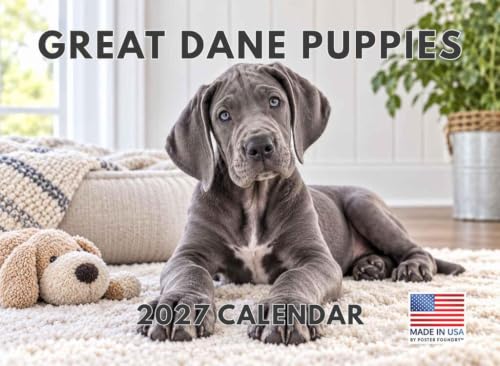 Great Dane Puppy Calendar 2027 Monthly Wall Calender 12 Month