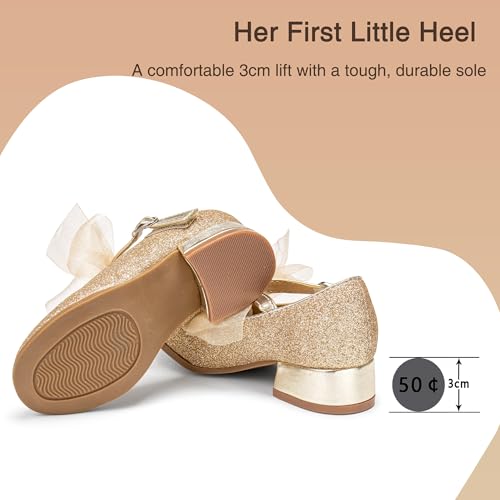 Image of THEE BRON Girls Low Heel Dress Shoes Mary Jane Party Wedding Flower Girl Pumps