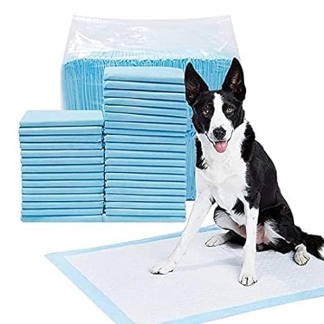 D&C Paws Dogs Potty Pee Cleaning Pads, Quick Drying Surface Absorbent Core Pad Sheet for Small and Large Breed Dogs (Size 60 x 45 cm, Pack of 30) (B0CLDKSLW1) Amazon Price History, Amazon Price Tracker