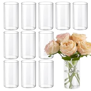 12pcs Glass Cylinder Vases for Centerpieces, 6 Inch Clear Flower Vases for Wedding Decorations and Indoor Home Decor, Hurricane Candle Holder for Table Shelf, Party