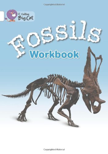 Fossils Workbook (Collins Big Cat)