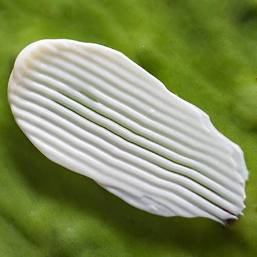 Weleda 1630-23219 Sheer Hydration Daily Face Crème, 1 Fluid Ounce, Plant Rich Moisturizer With Prickly Pear Cactus Extract And Aloe Vera thumb #8