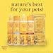 Burt's Bees for Pets Dander Reducing Cat Spray with Colloidal Oat Flour and Honey - Cat Dander Remover Gives Dry Skin Relief for Cats, Essential Kitten Supplies for Allergy Relief, 10 Fl Oz