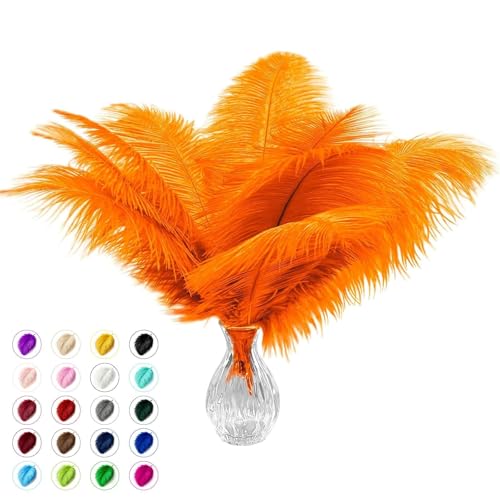 Piokio 20 pcs Orange Ostrich Feathers Plumes 6-8 inch(15-20 cm) Bulk for DIY Handmade Artwork and DIY Clothes, Feather Pens, Dream Catcher, Table Decoration.