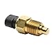 Delphi TS10019 Engine Coolant Temperature Sensor