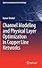 Channel Modeling and Physical Layer Optimization in Copper Line Networks (Signals and Communication Technology)