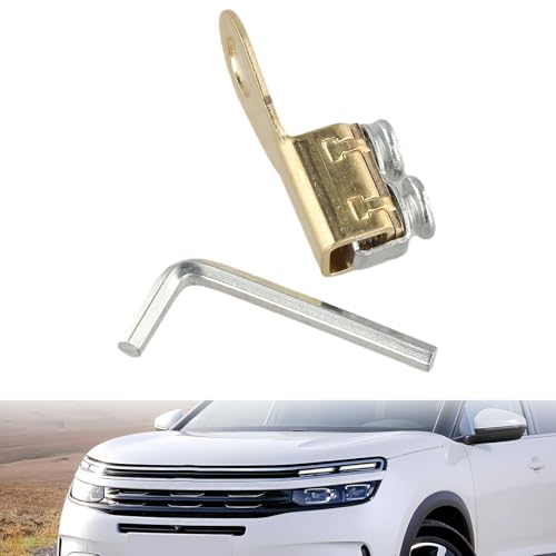 Gdfnmogo Borne de batterie de voiture, pince de batterie robuste, construction en cuivre pur, plaqué or pour une conductivité durable, remplacement direct pour barrage (petit)