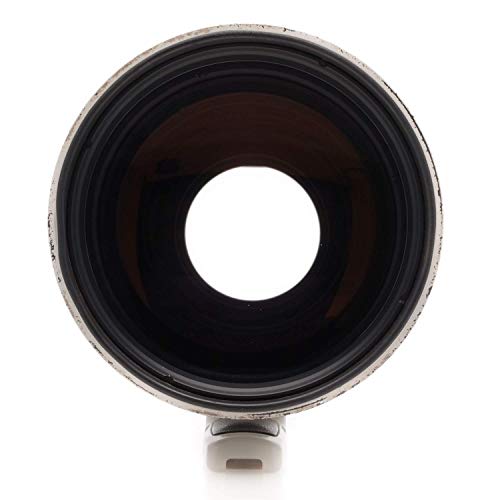 Ficha técnica Canon EF 400 mm F2.8 L IS USM Lente Lente profesional de 400 mm con apertura F2.8, estabilización de imagen y motor USM. Ideal para fotografía deportiva y de naturaleza. Compacta y ligera, ofrece alta calidad óptica y rápido enfoque. Perfecta para fotógrafos exigentes. - Fernando Cortés