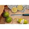 Arcos Coltelleria da Tavola - Coltello Tavola - Acciaio Inossidabile Nitrum 115 mm - Manico Nylon Colore Nero