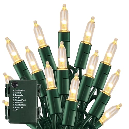 TW SHINE Battery Operated Christmas Lights, 50 LED 16FT Christmas