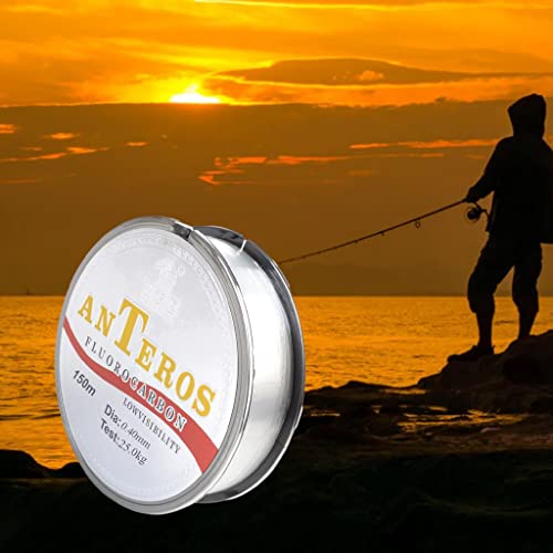 AMLESO de Fluorcarbono, Líder, Estiramento para de, 0,4 55 lb