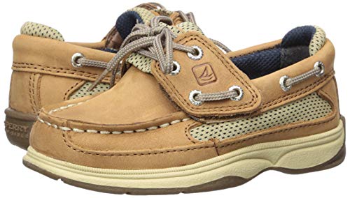 Sperry Lanyard A/C Boat Shoe, Dark Tan, 10.5 Us Unisex Little Kid #TOP6