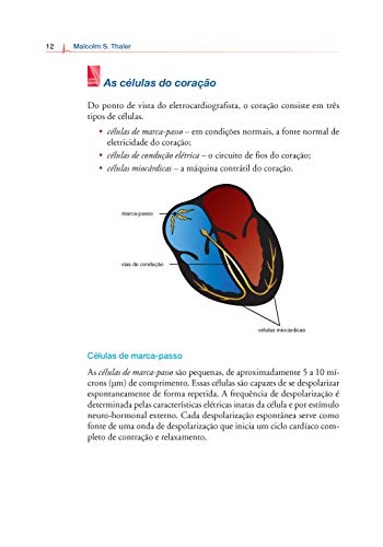ECG Essencial: Eletrocardiograma na Prática Diária