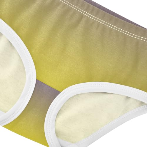 Joisal Aesthetic Girls Underwear Toddler 2t Cotton Little Girl Panties Violet Canary Yellow Gradient Briefs Kids Undies4