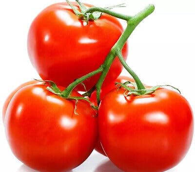 Buy4seeds 25 Seeds Organic Tomato Delicious Useful for Garden and Outdoor