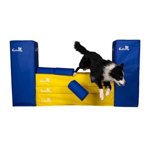 Callieway Turnier Agility Mauer „Bounce Over - Soft“ – alle FCI Sprunghöhen (gelb/blau)
