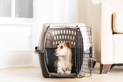 Petmate Dog Crates for Small Dogs & Cat Carriers, Two-Door Plastic Pet Kennel, Top & Front Loading, Made in USA, 24" For Pets Up To 15 lb, Pearl Tan by Petmate - Used condition - Image 7