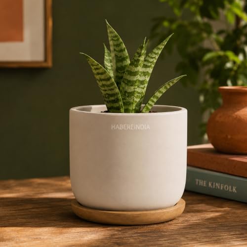 Image of Habere India-All the Cultures Fabricating India Plant Pot with Wooden Plate | Flower Pots for Dining Table & Home Decor | Terracotta Pot for Living Room Decoration (Multi, Dia11 x H9.5 cm)