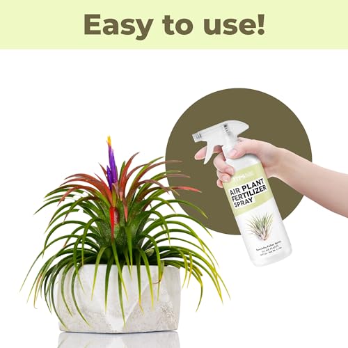 Fertilizante líquido en spray para plantas de aire 473 ml miniatura 4