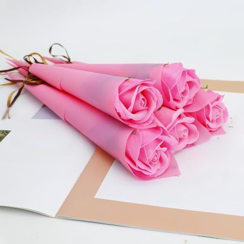 Ornatego 葱\[vt[{bNXIԂƃsNKN؂ɍ炭sv̉ivԁB蕨ɂg鍂{bNXAa̓܂Ŋ΂BCeAƂĂ炵ɍʂYA[gt[B (50{Zbg,sN)