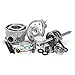 Top Performance Maxi Kit TPR In Alluminio D.50 Scooter Piaggio H2O Corsa 44 Biella 85