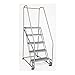 Rolling Ladder, Handrail, Platform 40 In H