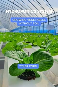 Easiest Hydroponic System for Beginners: Which One Will Surprise You? 2 easiest hydroponic system for beginners