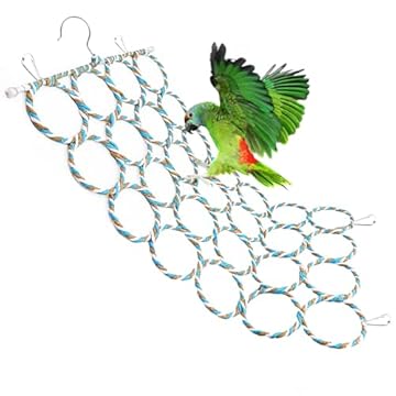 bird perch with climbing net – 5 Surprising Features You Didn't Expect 2 bird perch with climbing net