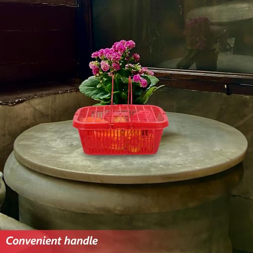 Cesta drenaje de plástico rojo pequeña con asa para recolección y manualidades caseras 7