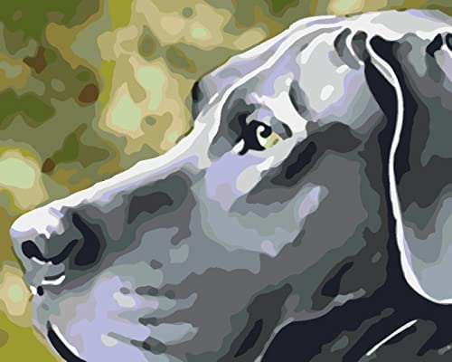 Kit pintura diamante 5D taladro completo bordado mosaico perro 30x40cm
