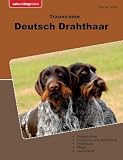  Traumrasse Deutsch Drahthaar