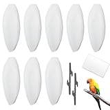 MNYXIS 8 Piezas Hueso de Sepia para Loros, Hueso Sepia,Hueso Jibia, Juguetes para Masticar Pájaros, Reptiles, Tortugas y Caracoles con Soporte de Metal, 9-12 cm