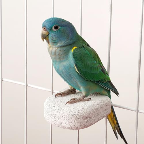 2 Stück Vogel Sitzstange aus Mineralstein, Wellensittich Spielzeug – Natürliche Knabberstange – EIS-am-Stiel Design als Vogelkäfig Zubehör