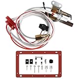 Hoeine Pilot Assembly for Water Heater Parts Compatible with Rheem Ruud Richmond SP21058 SP20824 SP20754 SP20800 | NG/LP Universal Burner Ignition Replacement Kit with Thermopile & Sparker