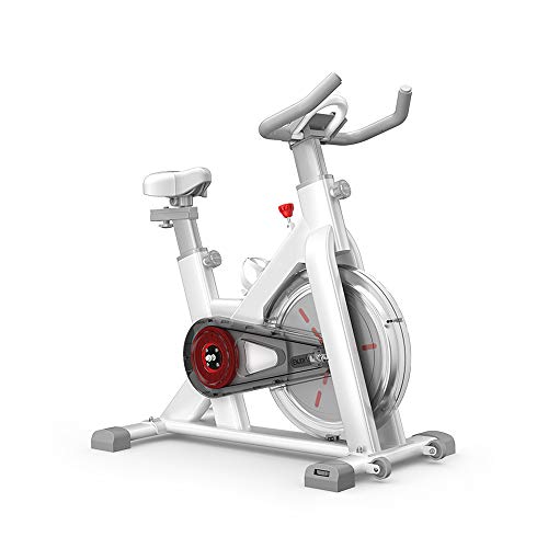 Indoor Cycling Bike, Heimtrainer mit LCD Anzeige, Indoor Speedbike für Fitness Workouts Zuhause, Verstellbarer Sitzwiderstand
