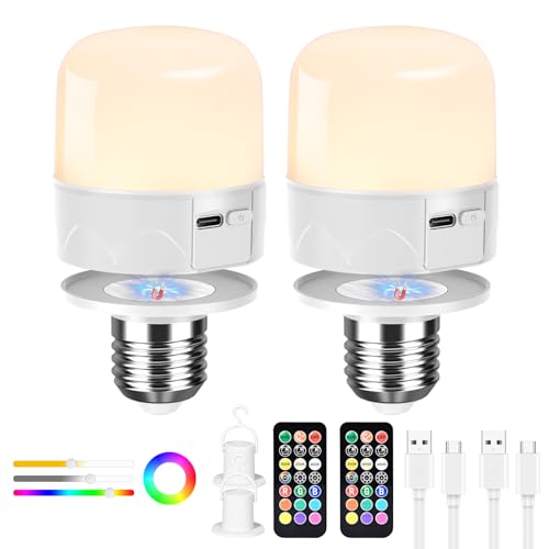 Birnetek 2 pezzi Lampadina Ricaricabile USB-C con Telecomando, E27 Lampadina a Batteria, Lampadina LED Dimmerabile Touch Control con Funzione di Timer, Luce di Emergenza Casa con Gancio per Casa
