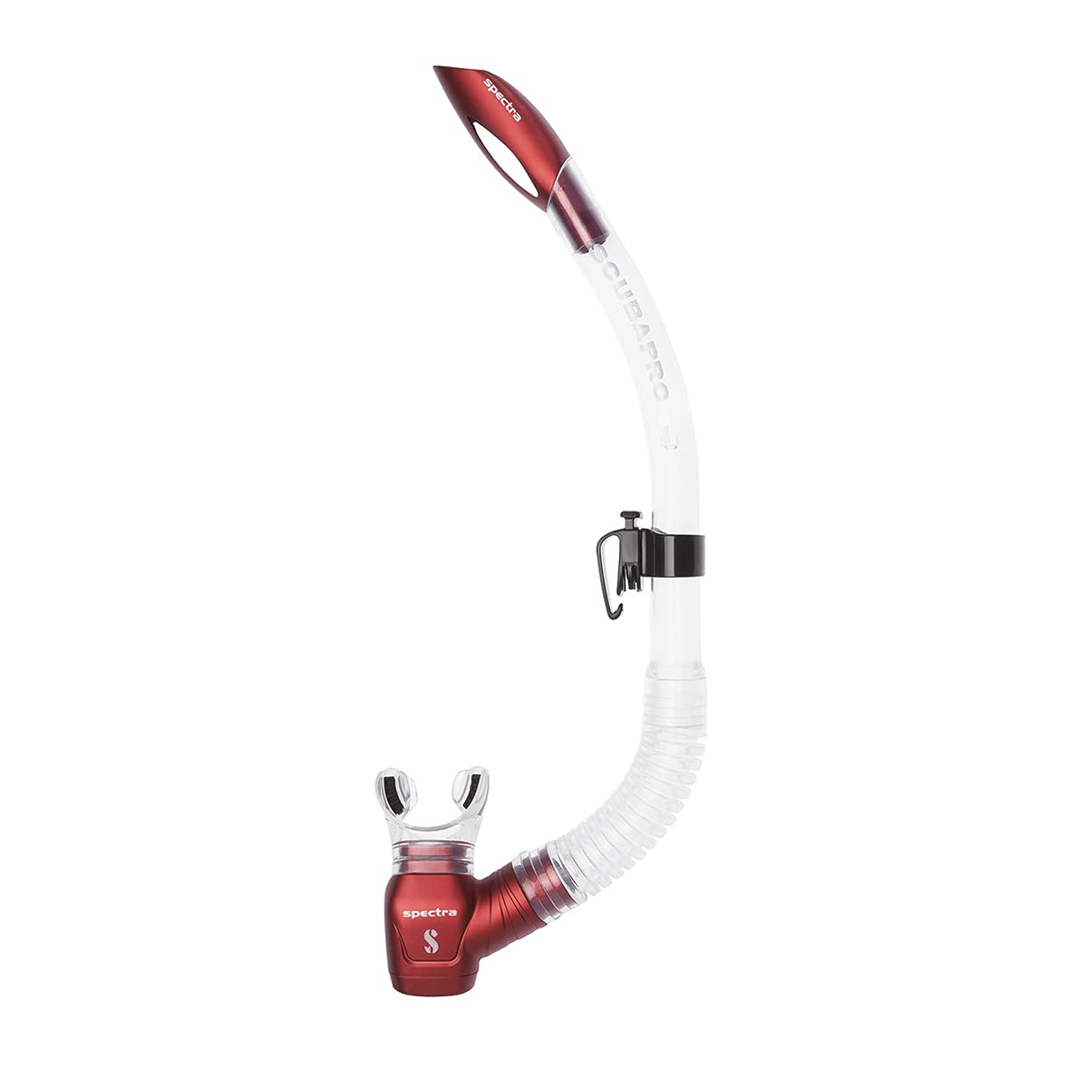 Attache Spectra – snorkeling