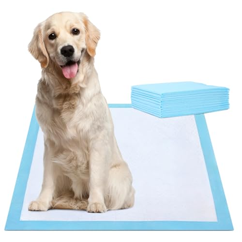 Empapadores Perros Adhesivos Marca Nobleza