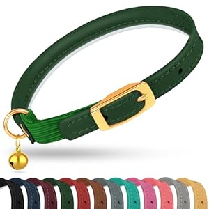 OOPSDOGGY Rolled Leather Cat Collar with Bell – Reflective Kitten Collar with Safety Elastic Strap – Adjustable Small Pet Collars for Boy Girl Cats (Green)
