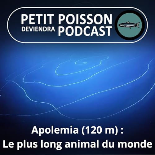 『S05E02 Apolemia, le plus long animal du monde fait... 120 m !』のカバーアート