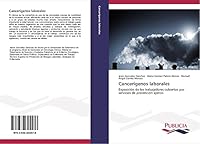 Cancerigenos Laborales 363964557X Book Cover