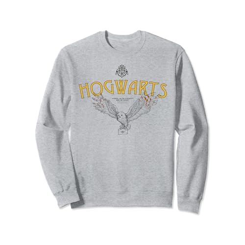 Harry Potter Hogwarts Owl Sudadera