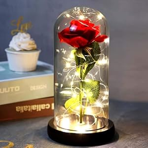 SMATOLS Beauty and The Beast Rose in Glass, Red Artificial Flower Rose Gift, Lasts Forever in A Glass Dome,Unique Gifts for Women, Christmas, Wedding,Valentine’s Day, Anniversary and Birthday for Her