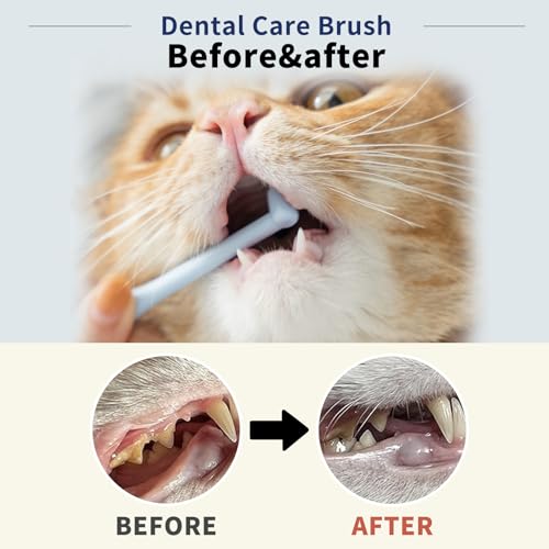 CHICHI PAWS Escova de dentes para cães, gatos com cerdas macias, fácil limpeza dos dentes e cuidados