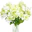Hydrangea- Green